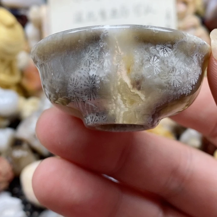 颈饰未镶嵌硅化珊瑚（珊瑚玉）有瑕