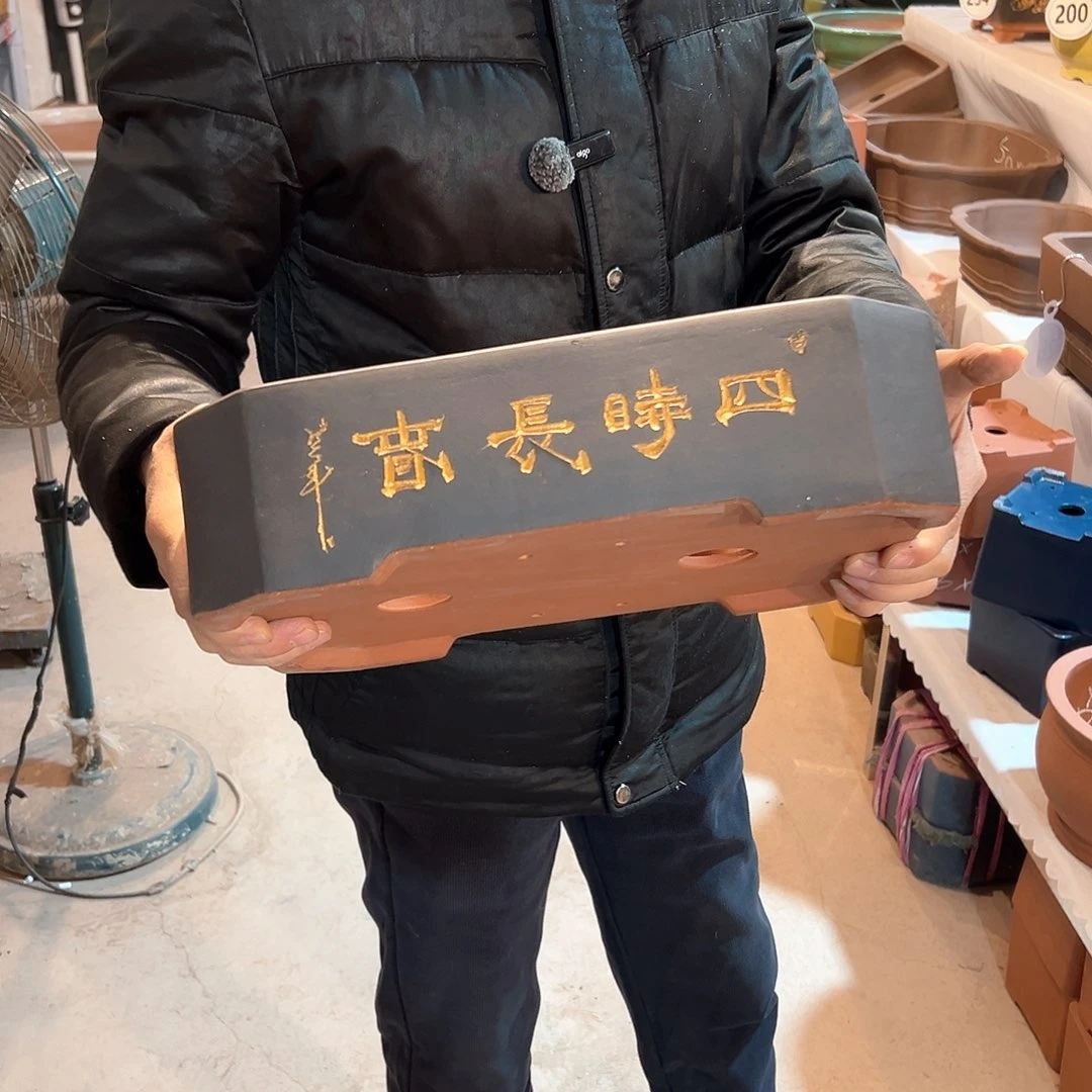 四时常春马槽黑色一对