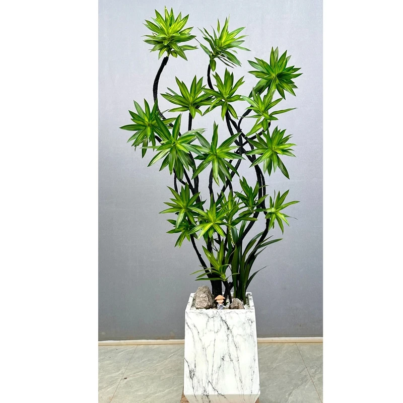 老桩造型金心百合竹大型室内客厅绿植北欧风家具植物美观送货上门