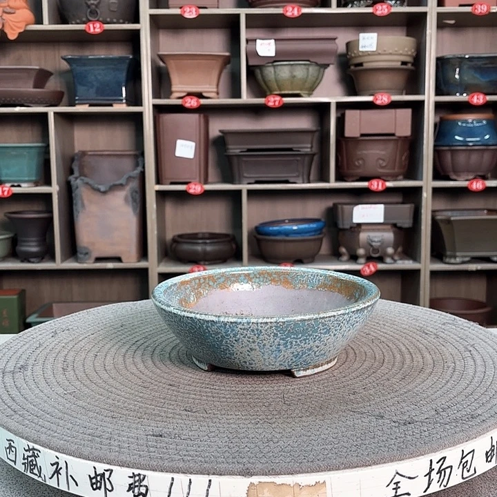 紫砂花盆紫砂的花也太美