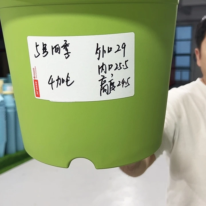 特价5四季口29高24.5果绿无托5只