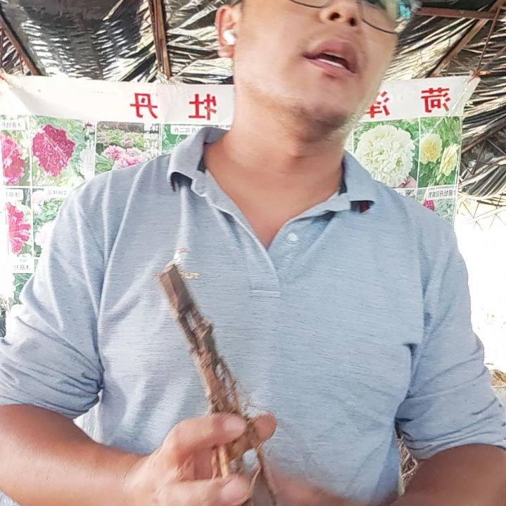 当前无花栽培后可以开花百元........