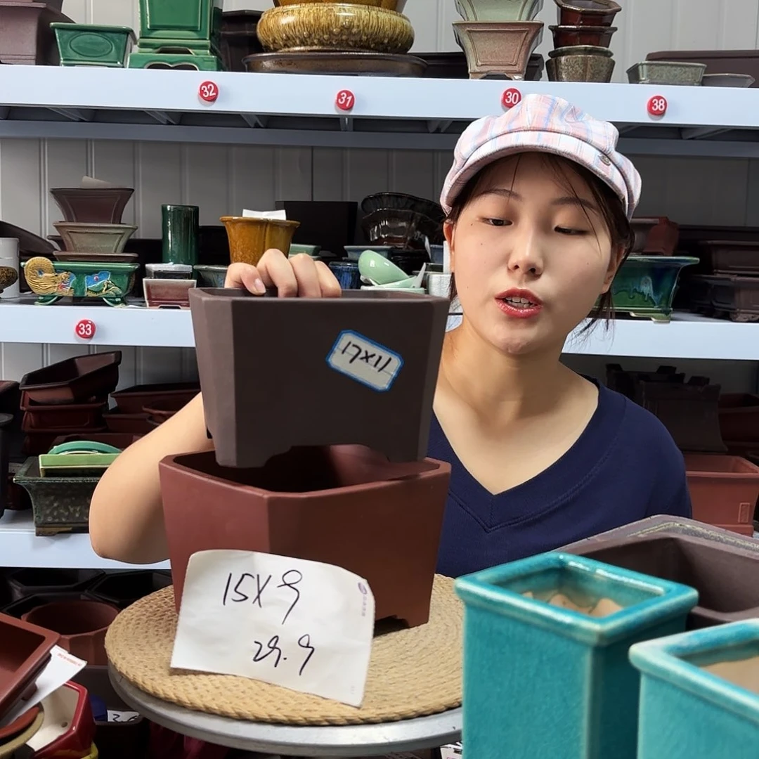 红泥花盆宜兴紫荆