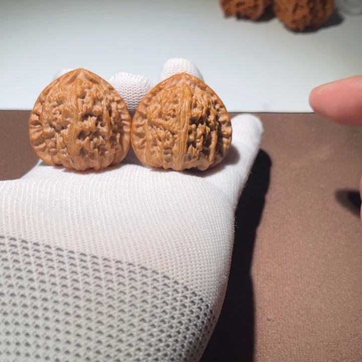 轻***山精品白狮子40尺寸