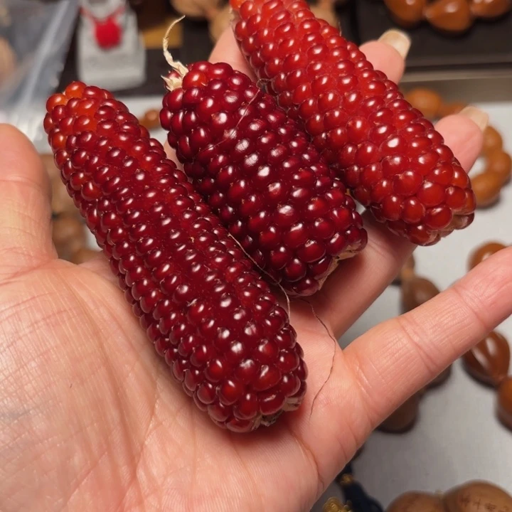 手串/手链橄榄核文玩玉米