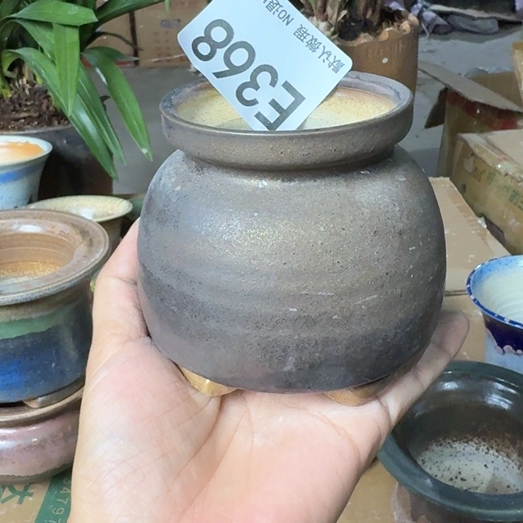 重庆小燕子欢迎大家368