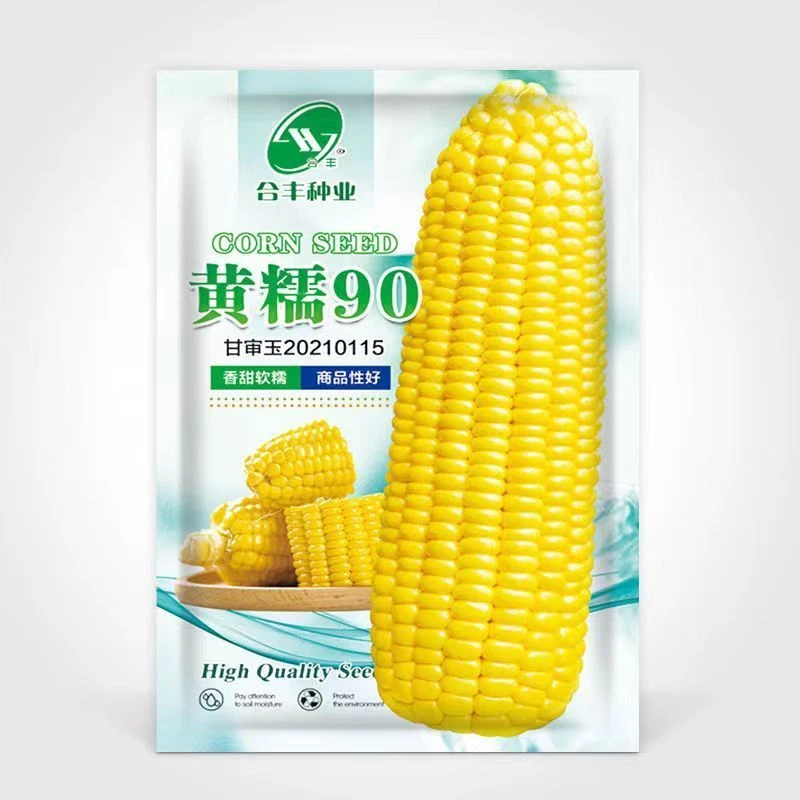 粘掉牙黄玉米种子香甜粘糯黄玉米种籽非转基因四季高产黄金糯玉米
