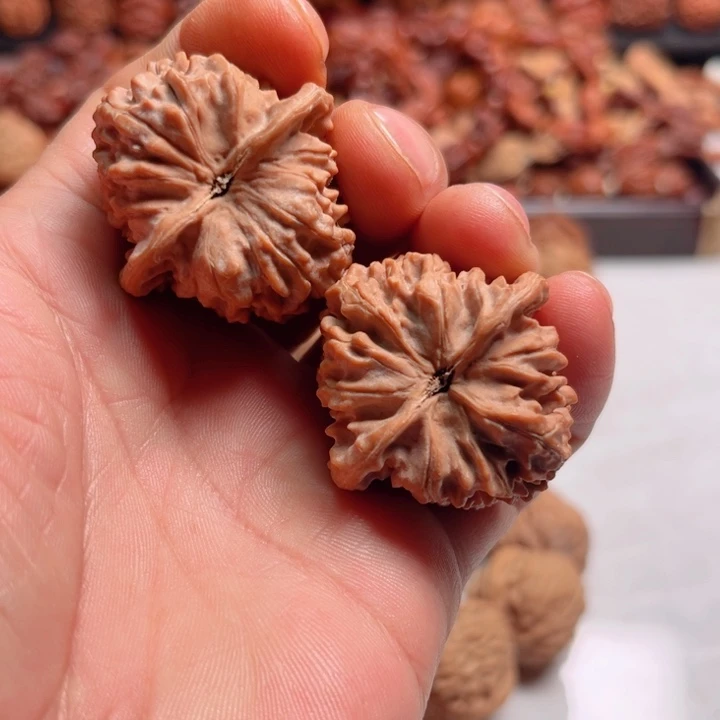 文玩核桃把件独家野生小凹底树头王对