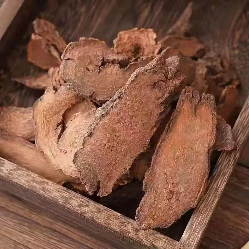 锁阳正宗金锁阳批发整根锁阳切片泡茶泡水正品锁阳内蒙金锁阳