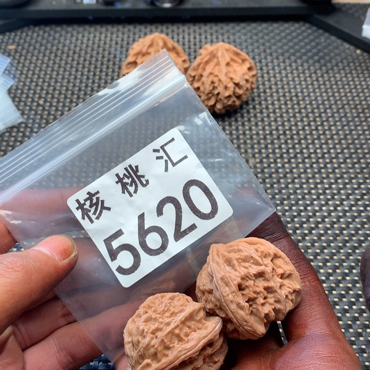 吊坠文玩核桃白狮子