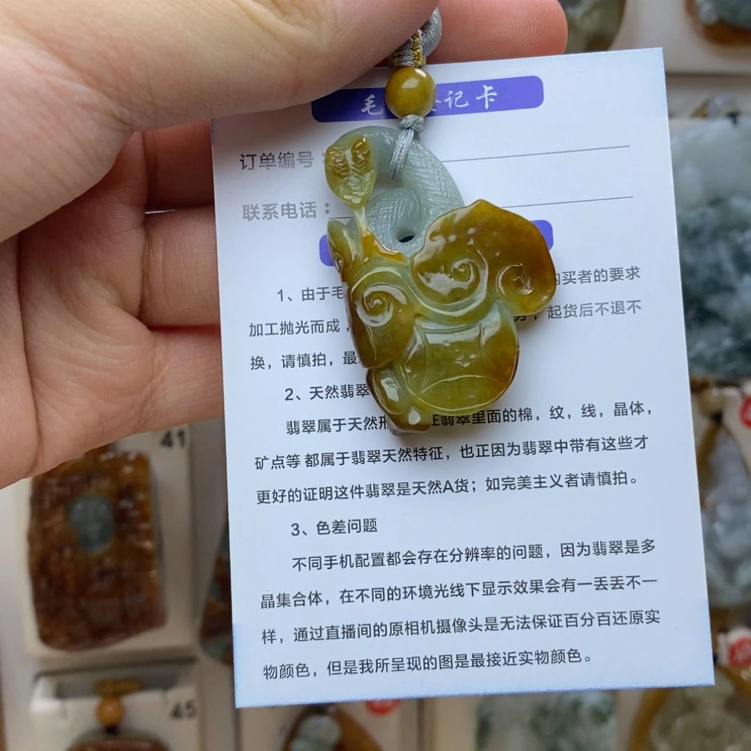 翡翠未镶嵌颈饰蛇