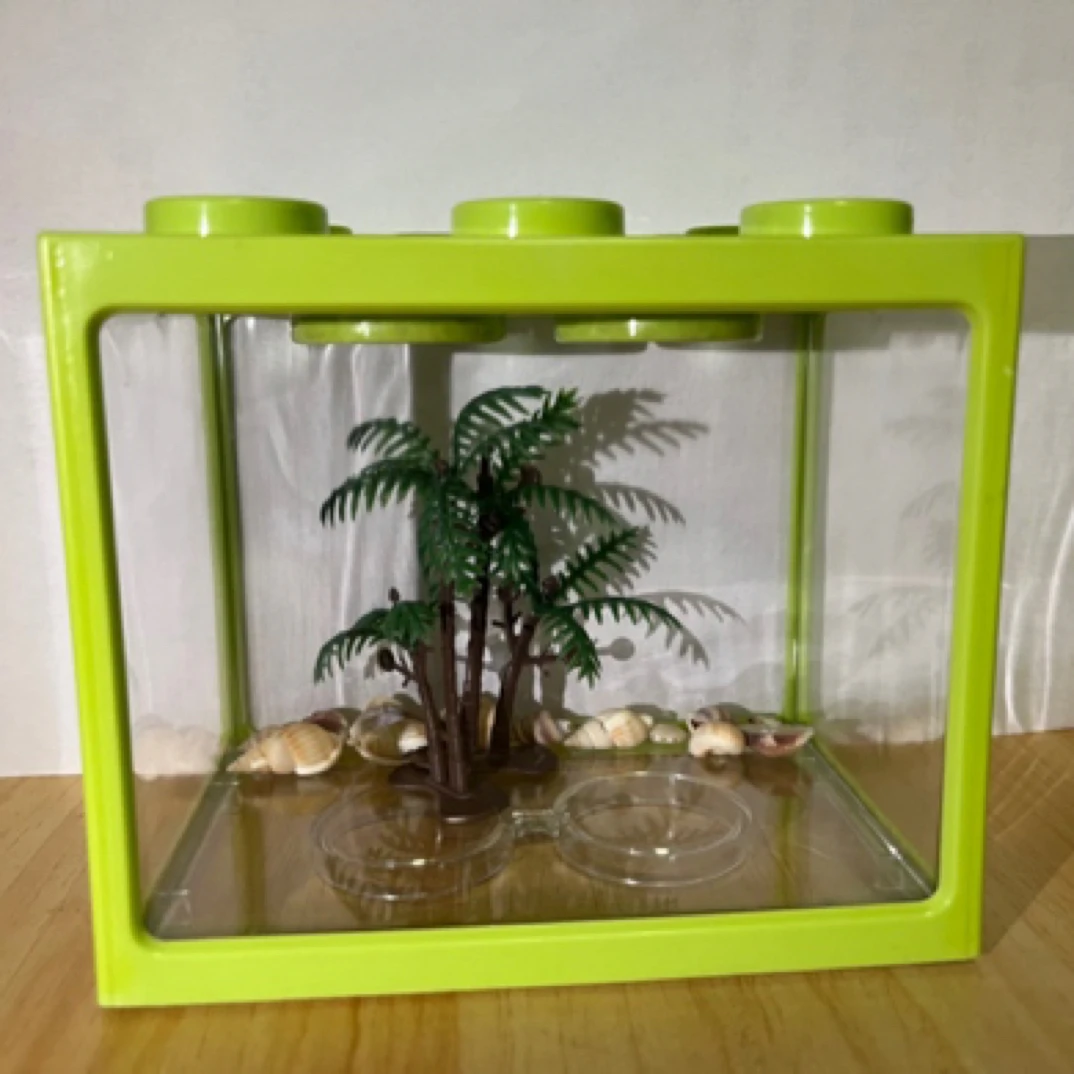 寄居蟹防逃逸透明带盖家用中小型生态缸创意造景小别墅