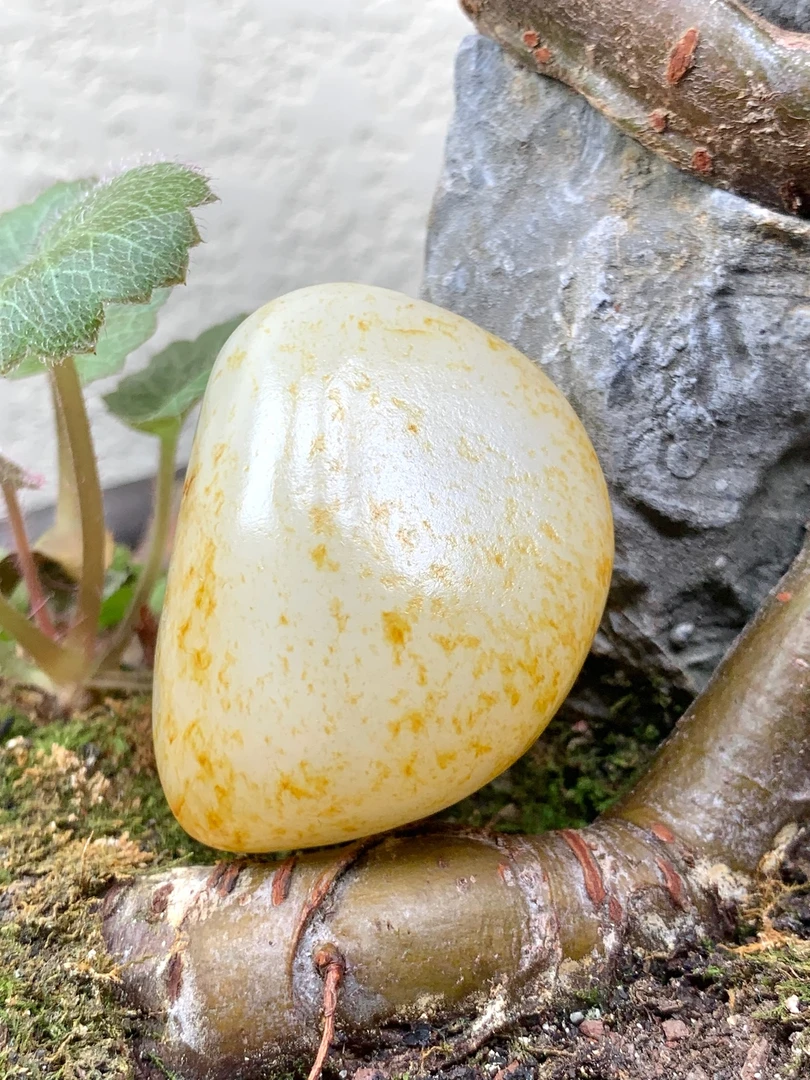 和田玉秋梨皮把件，55克，43*35*25，货号02123，8208016