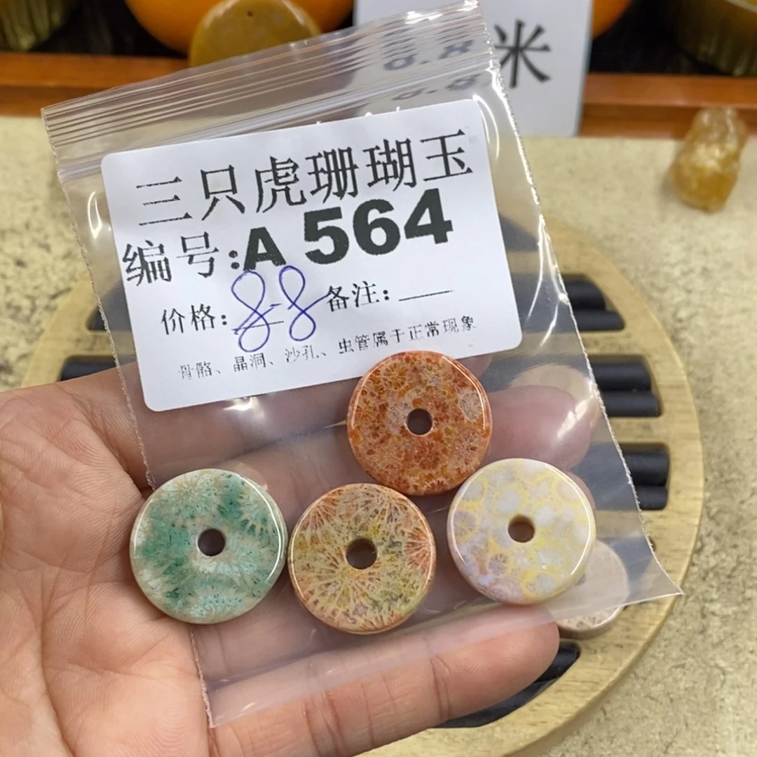 硅化珊瑚（珊瑚玉）1未镶嵌莫*