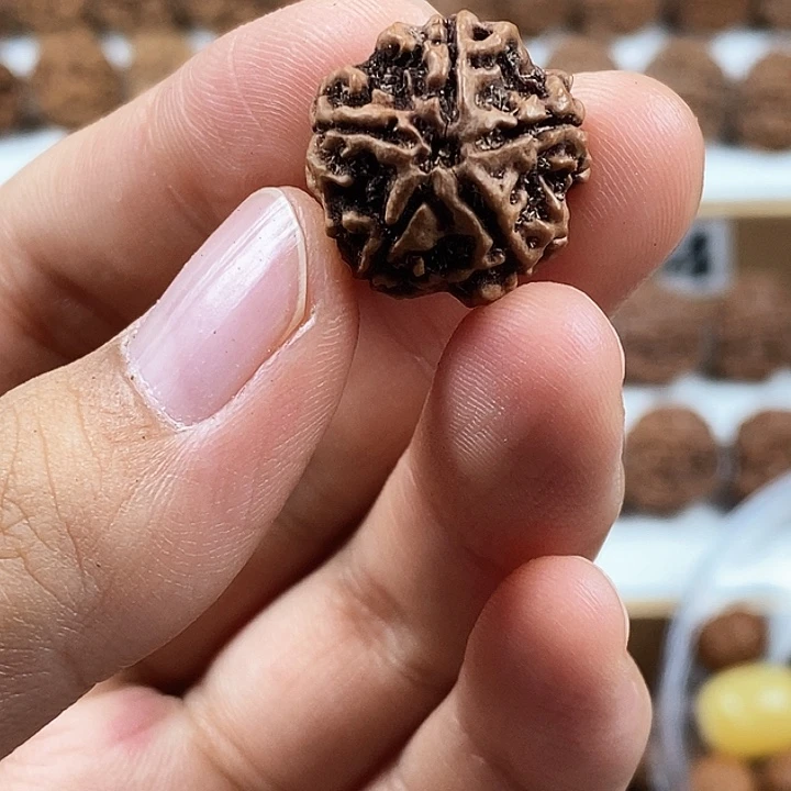 手串金刚菩提收藏版稀有精品梅花飞碟