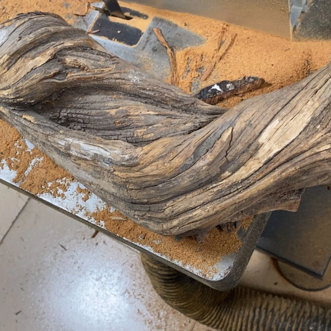 柏木真*闲我们都是好孩子