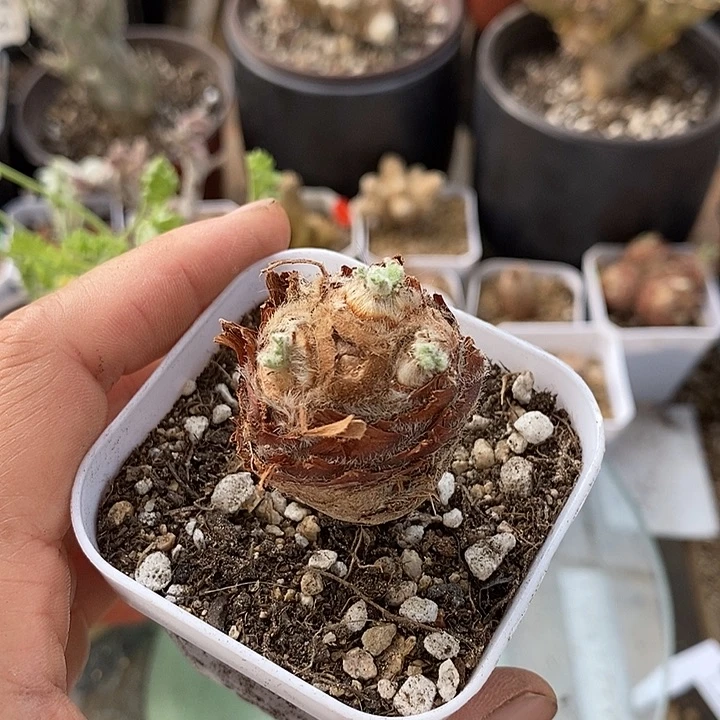 空*626一一一一一一一一一