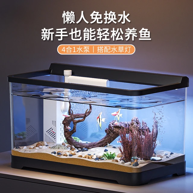 氧家用鱼缸新款小型造景金鱼缸全套带2024制灯生态一体机过滤客厅