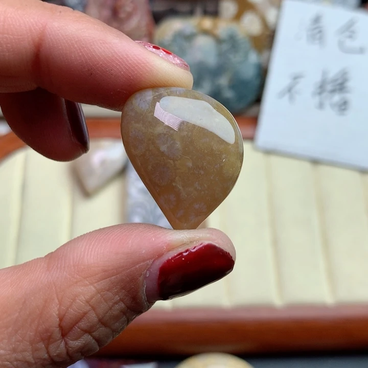 硅化珊瑚（珊瑚玉）颈饰未镶嵌