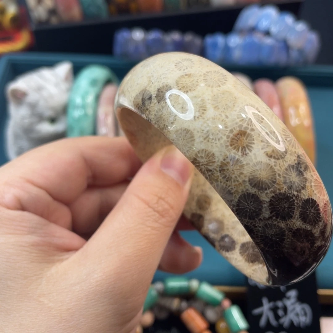 未镶嵌手镯硅化玉