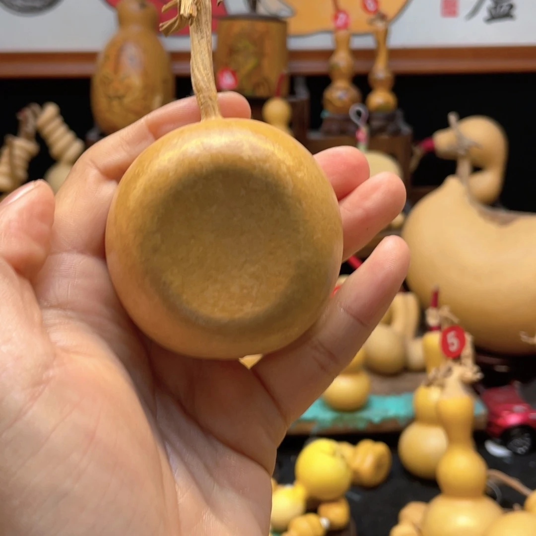n*w大自然的秘密第十一节