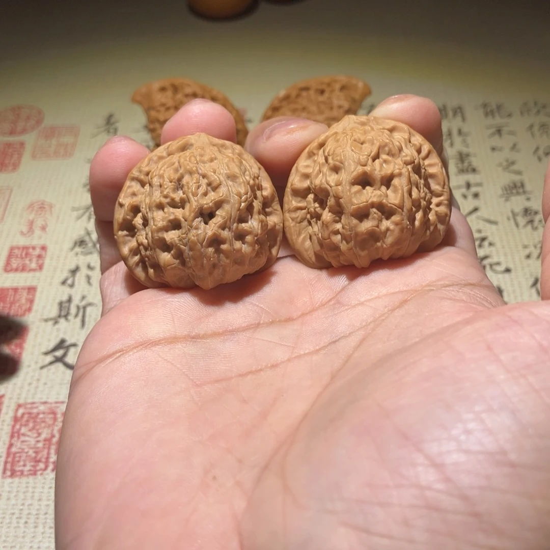 文玩核桃把件白狮子35尺全品