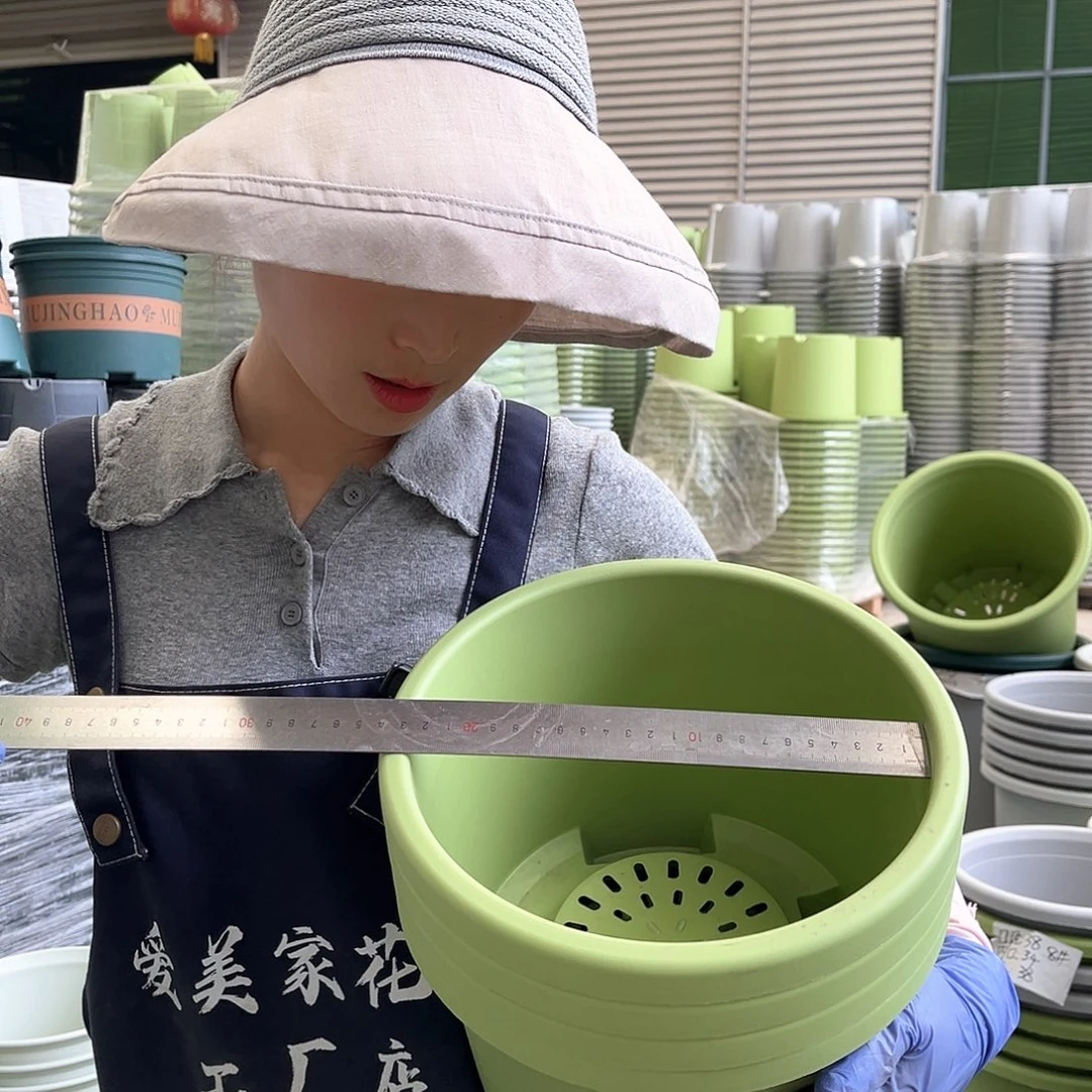 球根盆3#果绿色5个无托