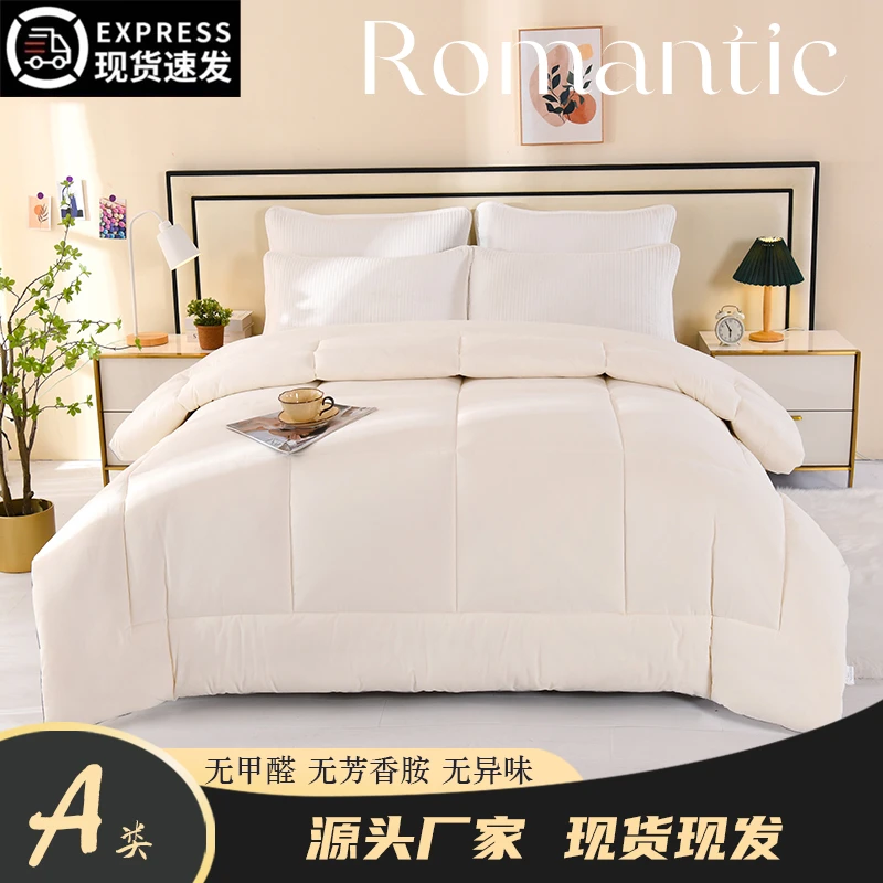 两用通用四季被芯春秋被加厚保暖冬被可机洗双人被芯加厚绒被