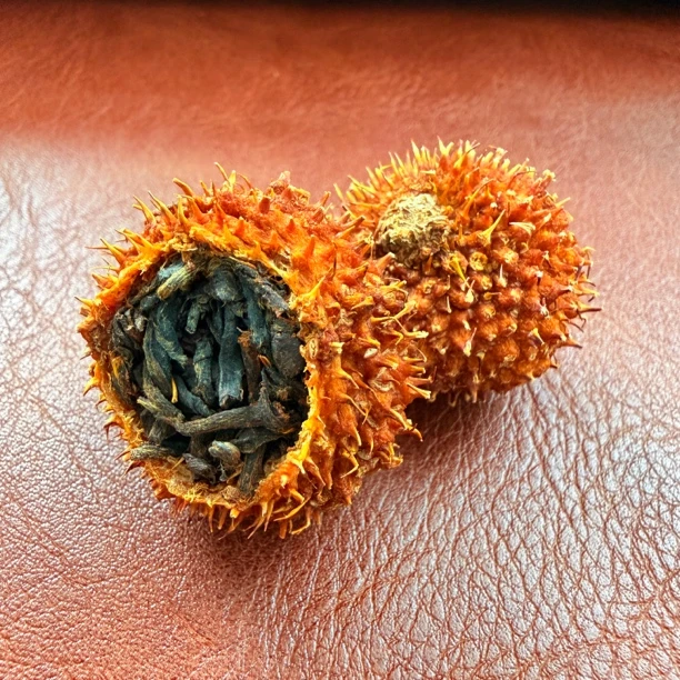 2025年刺梨红茶 调味茶 200克/罐