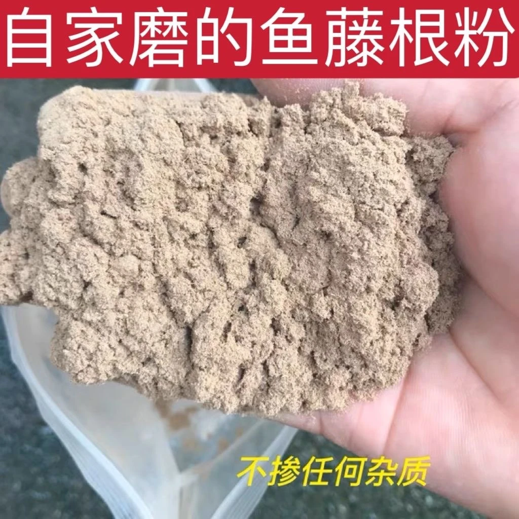 鱼藤（根）粉 鱼（藤根）鱼藤精小时候的鱼藤酮 鱼藤粉渔藤根