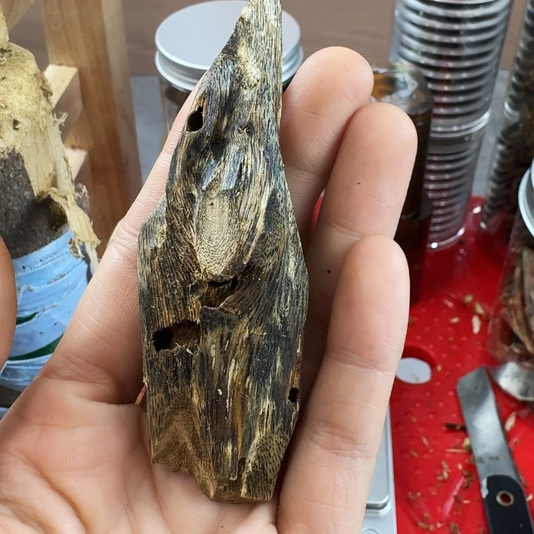 香料绿奇楠虫漏乌身圆叶13克