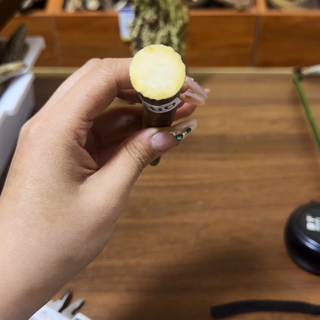 手串/手链鹿骨0859经角尖