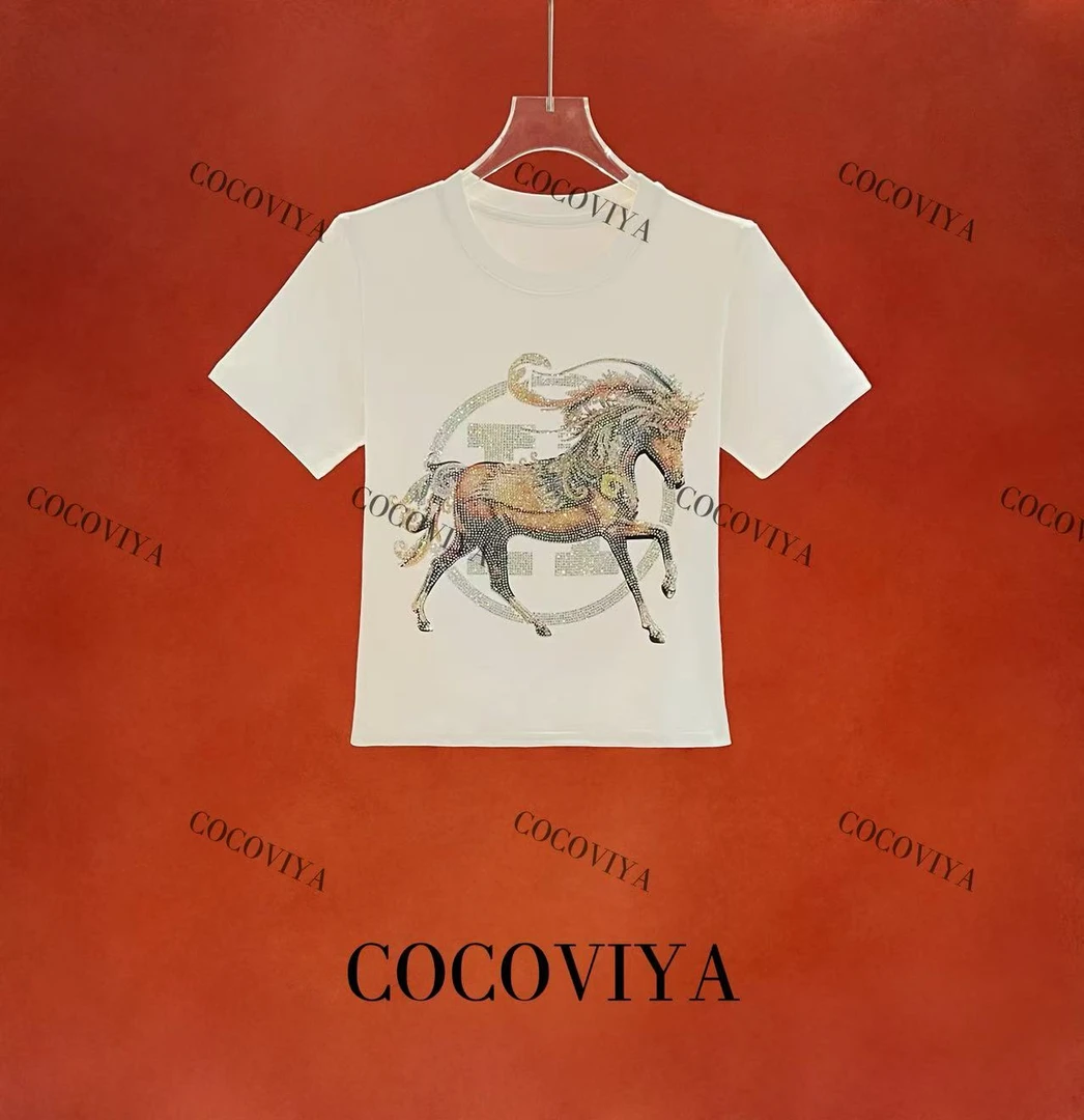 【CC】2025COCOVIYA设计感印花秋冬百搭时尚休闲上衣29D-120