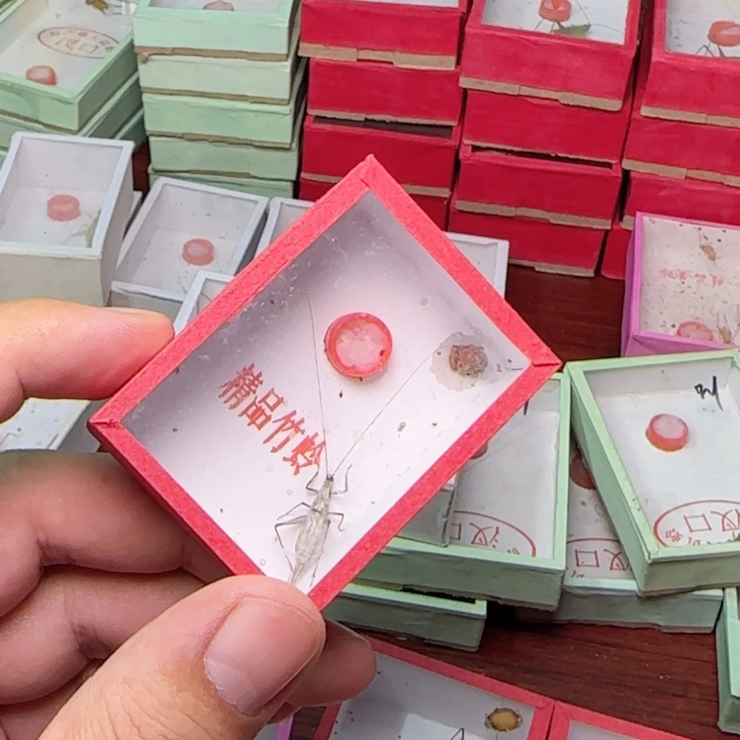 黑紫竹岭1只