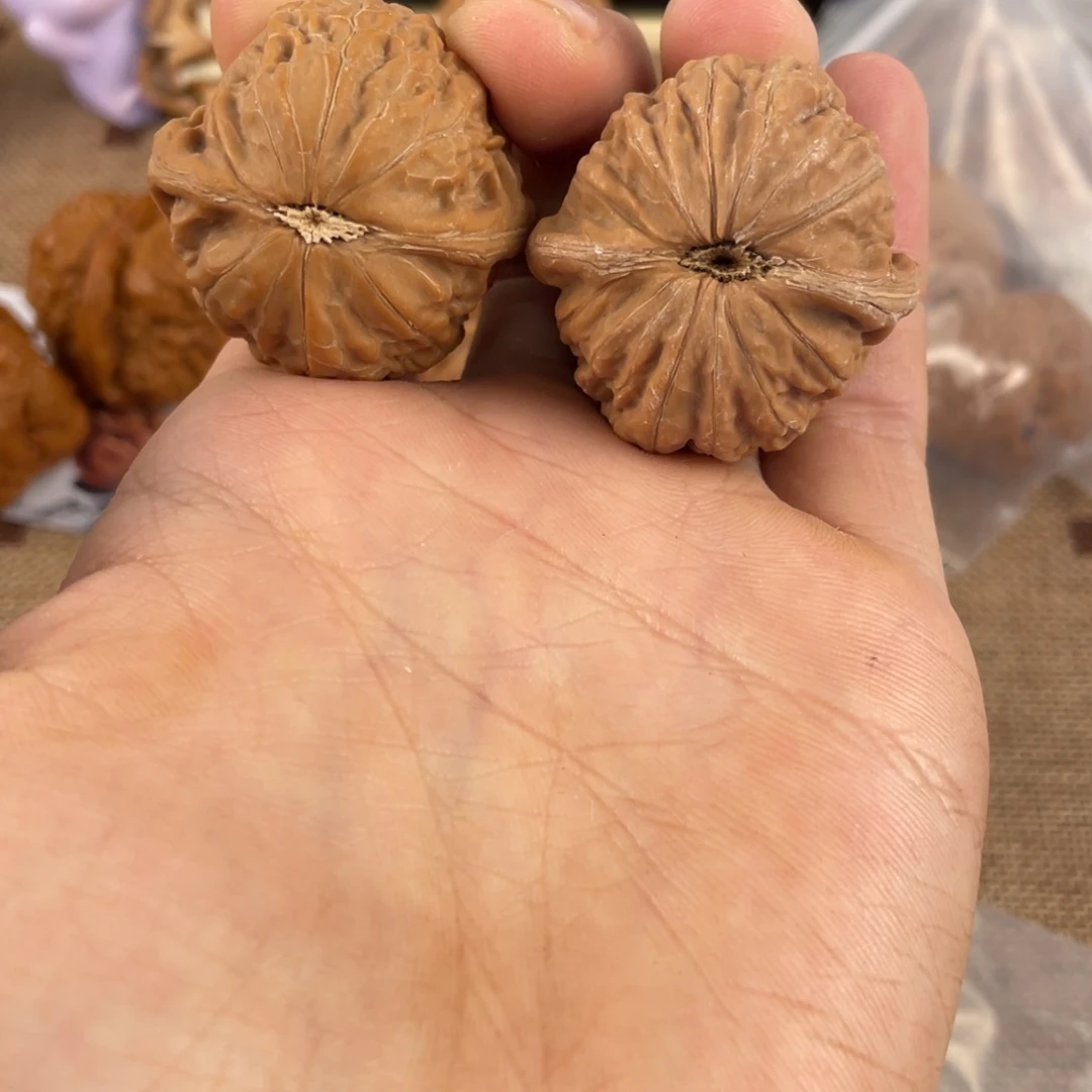 铁锤妹妹矮桩35尺