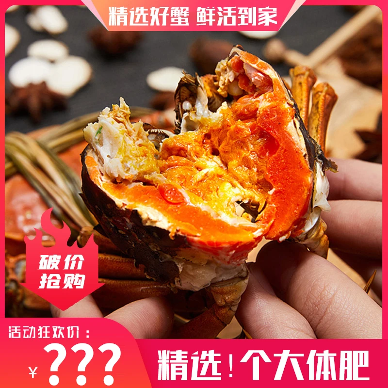双12【活蟹】6-5.7两公+5-4.7两母 买8只送2只到手10只大闸蟹 包邮