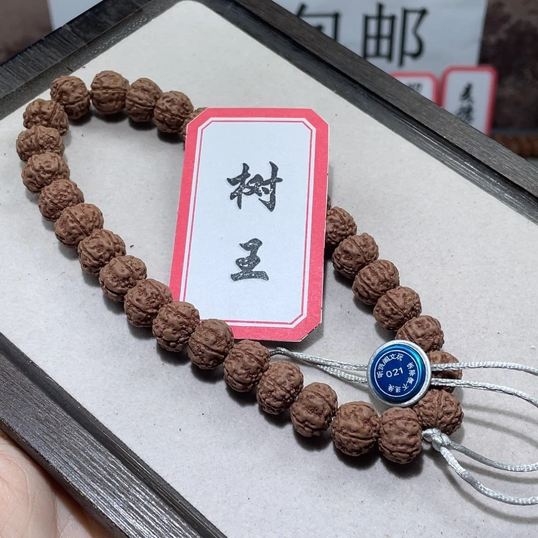 手串金刚菩提021树王
