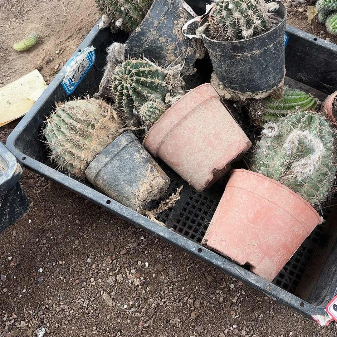 458 瑕疵掉侧牙无售后