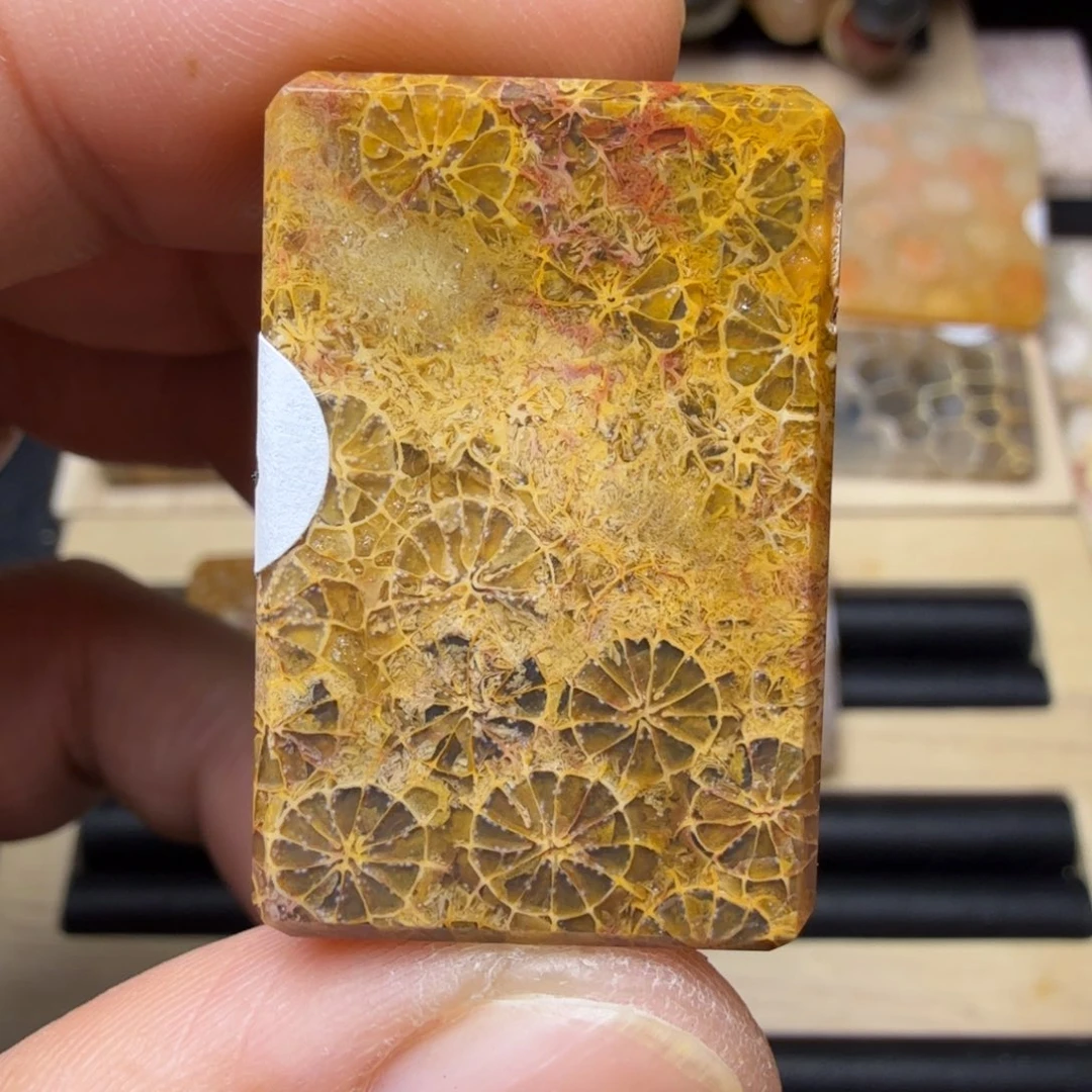 硅化玉未镶嵌纯天然色有机玉石保真色