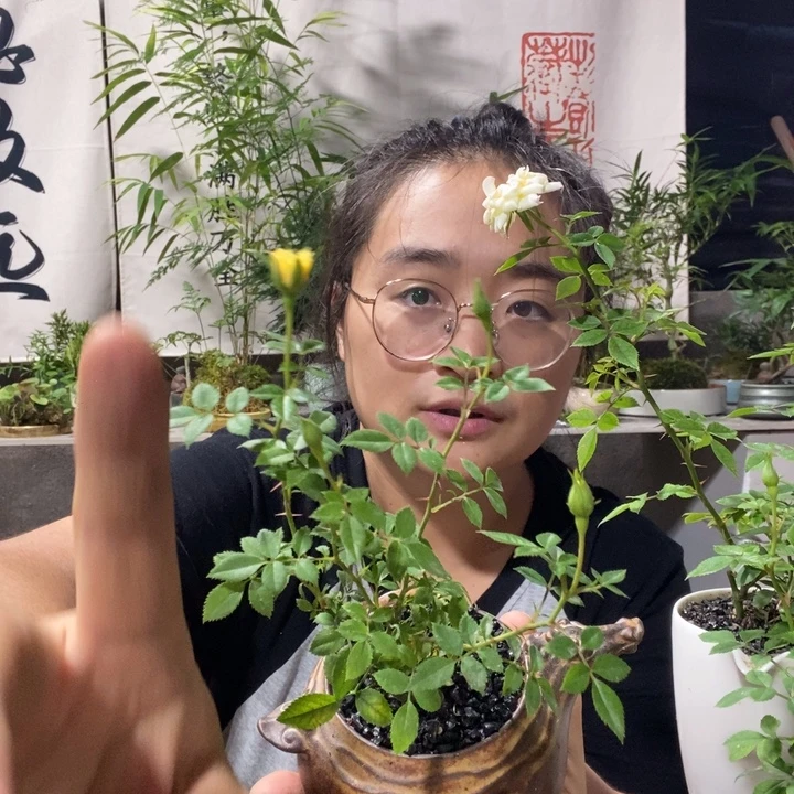 满***硬无花朵退款拉黑拉黑286