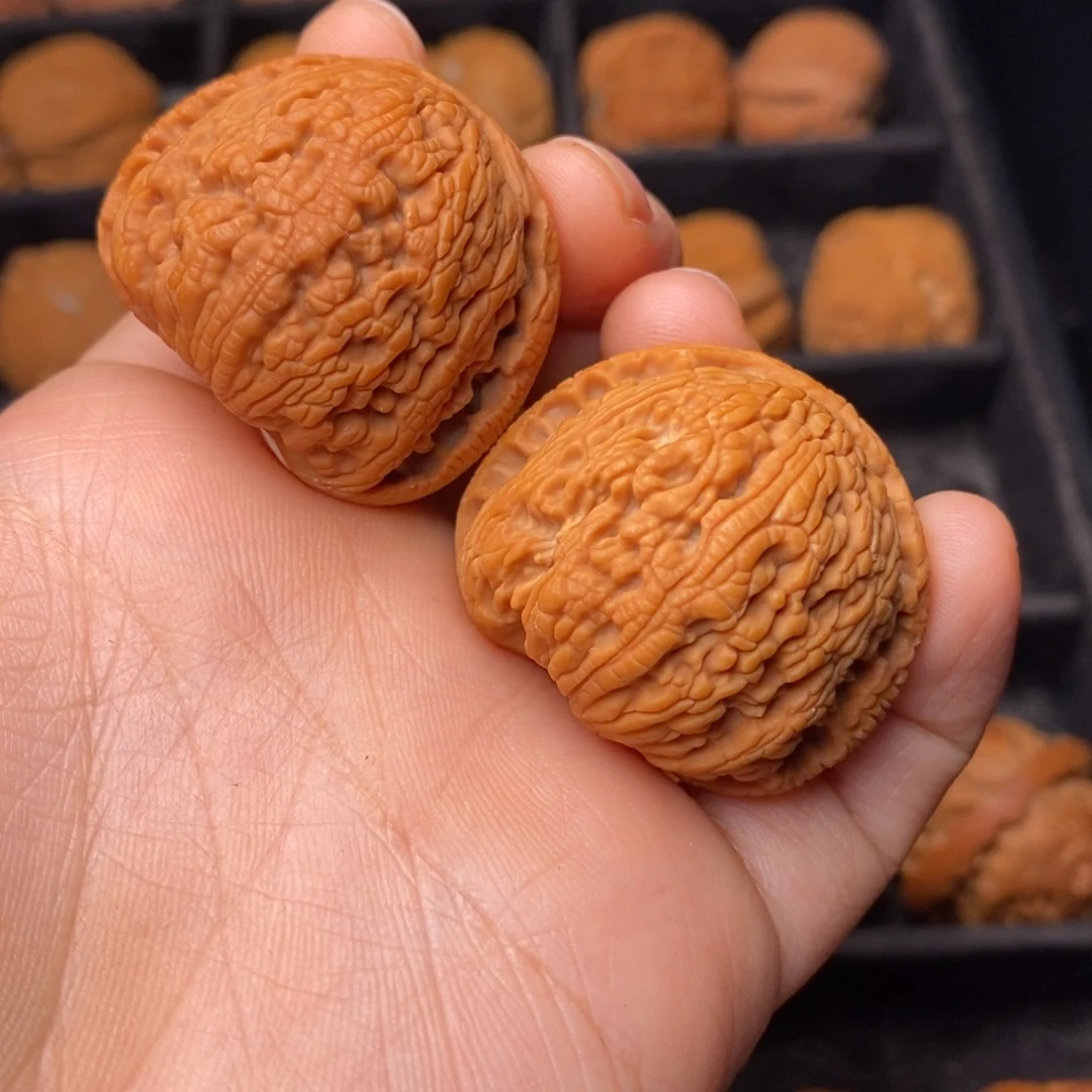 秦岭野生文玩核桃