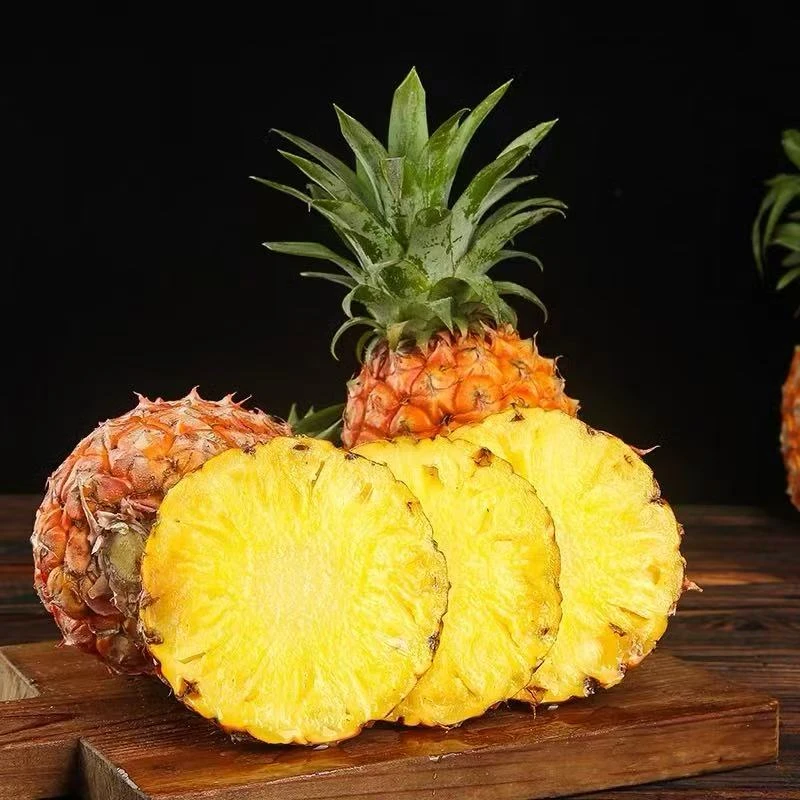 【新鲜发货】正宗金钻凤梨新鲜香甜多汁产地直发凤梨海南金钻凤梨