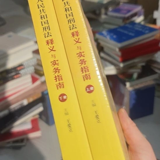 刑法释义与实务指南两本一套。