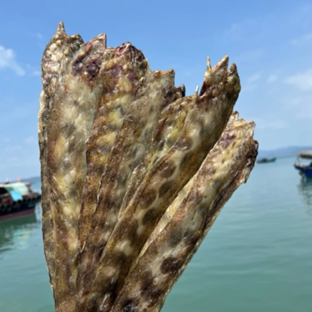 汕尾本港渔民自晒金钱鳗鱼干 钱麻脯微咸 潮汕干货特产双11双十一