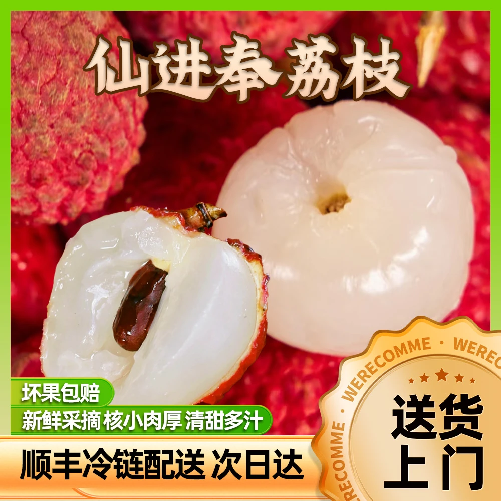 【广东专拍】【仙进奉荔枝】【产地增城直发顺丰空运】【果场直发礼盒装】