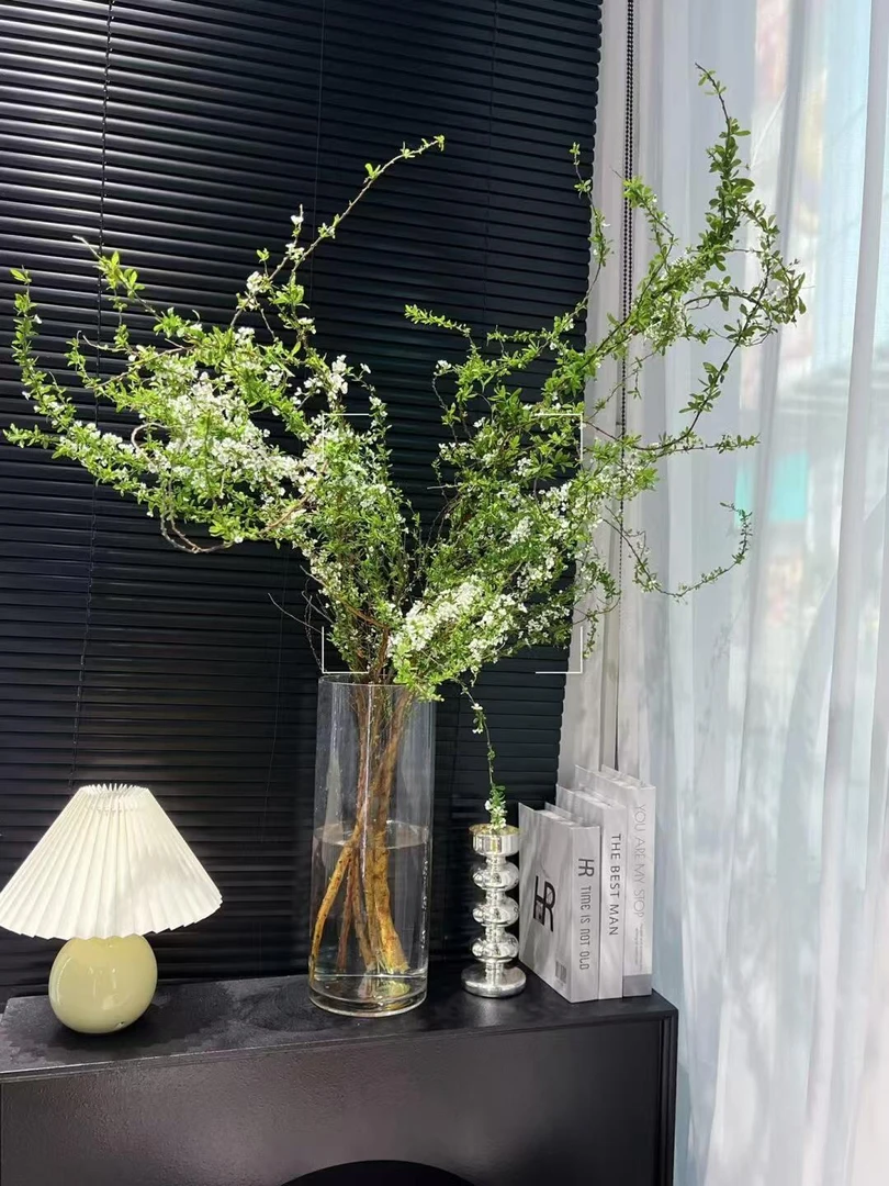 【年宵雪柳】A级ZW鲜支雪柳花云南基地直发鲜切花一单包邮瓶插客厅