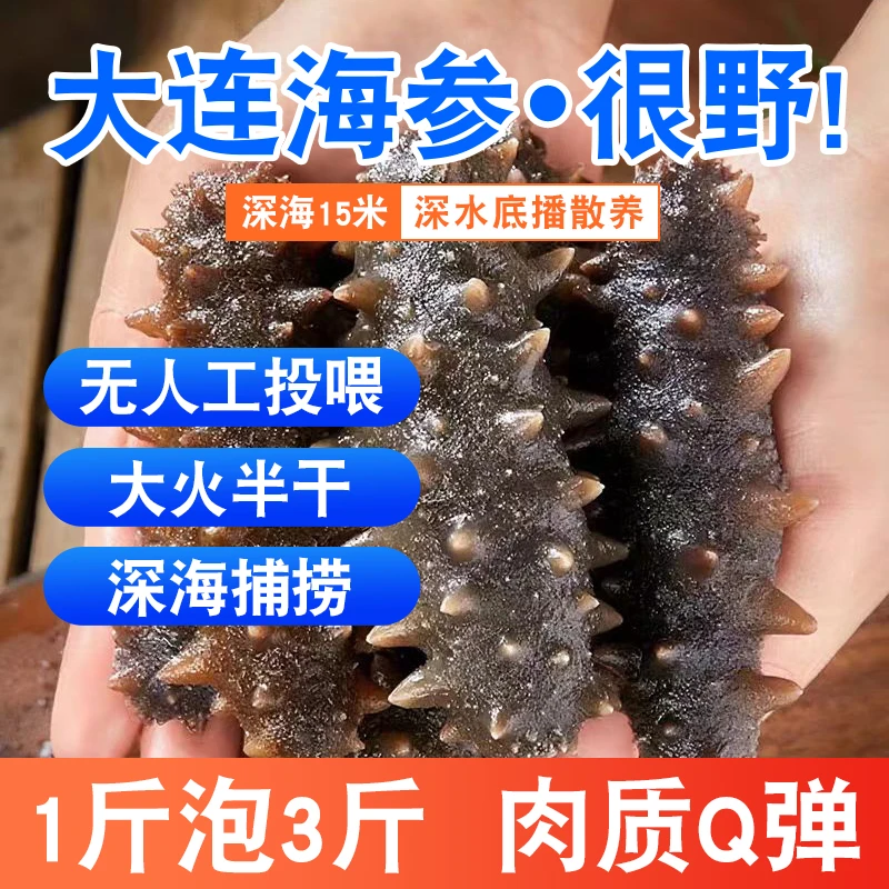 3斤大连辽刺参深海拉缸盐海参半干海参[30-35头左右/500g]