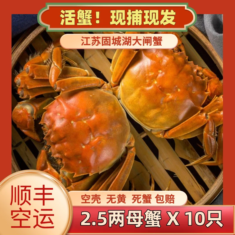 【活蟹】2.4-2.6两 母蟹10只现捕现发精品固城湖大闸蟹去绳净重