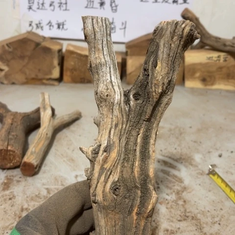 大果紫檀（缅甸花梨）凉