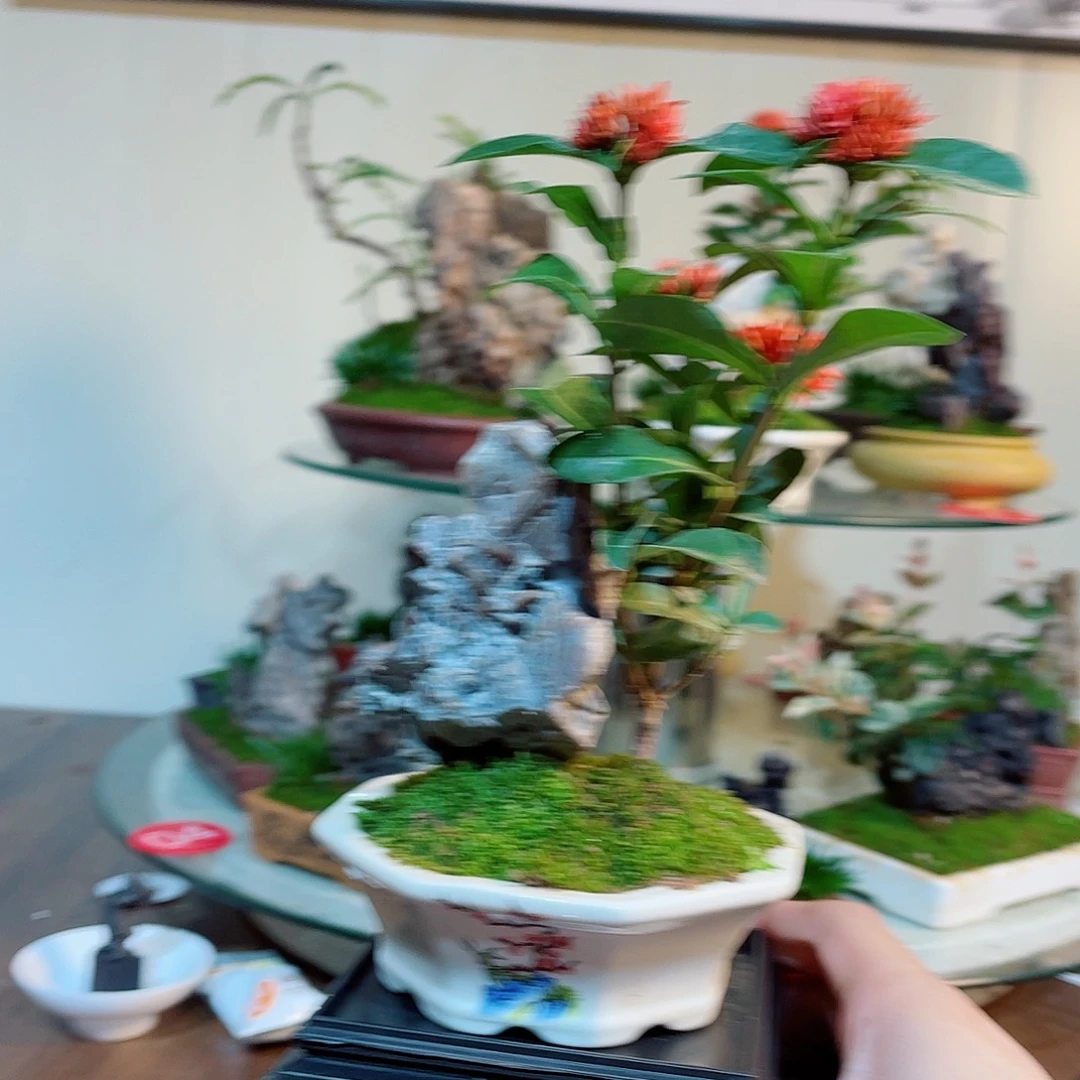 完全开放000000000021